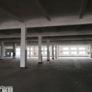 出租武进区洛阳镇工业园4000平方上下层车间可分租2000平