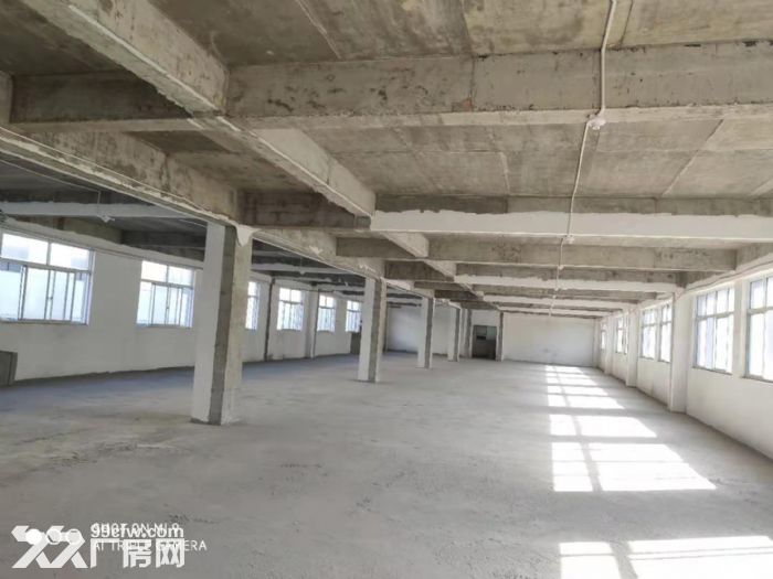 常州武进新北区通江中路厂房出租