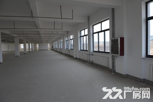 出租马杭多层+单层车间，生产+仓储。可分租-图4